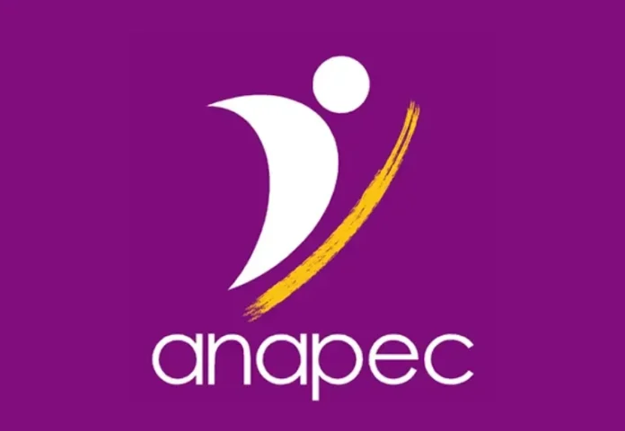 ANAPEC lance 141 offres d’emploi à Casablanca, Safi, Agadir, Nador et plusieurs villes du Maroc