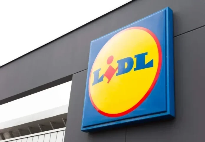 LIDL France recrute : 43 offres d’emploi en CDI spécialement dédiées aux étudiants