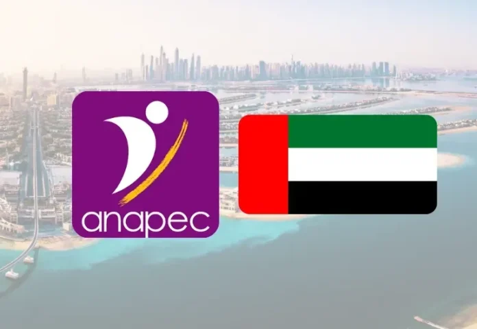 Devenez Magasinier aux Émirats Arabes Unis : Salaire Attractif de 10 000 DHS !