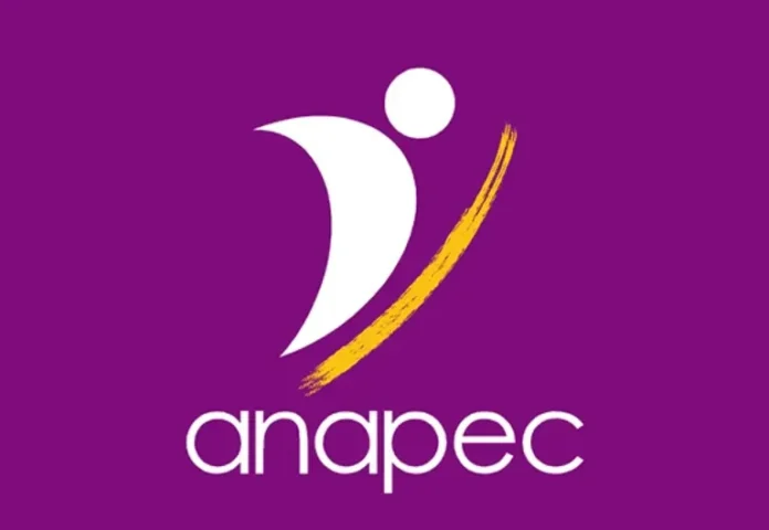Recrutement ANAPEC 2025 : Plus de 800 Offres d’Emploi à Saisir dès Maintenant