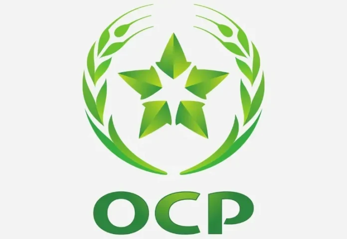 Rejoindre l’OCP en 2025 : comment déposer votre candidature spontanée et lancer votre carrière